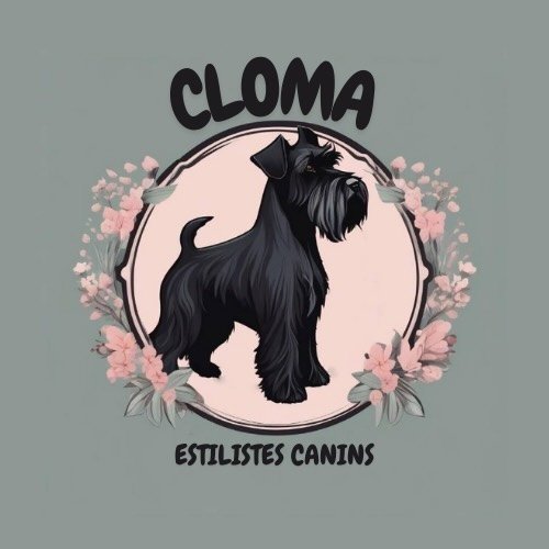 Logo de Cloma